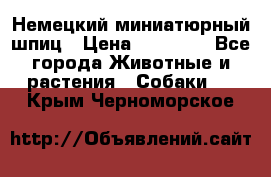 Немецкий миниатюрный шпиц › Цена ­ 60 000 - Все города Животные и растения » Собаки   . Крым,Черноморское